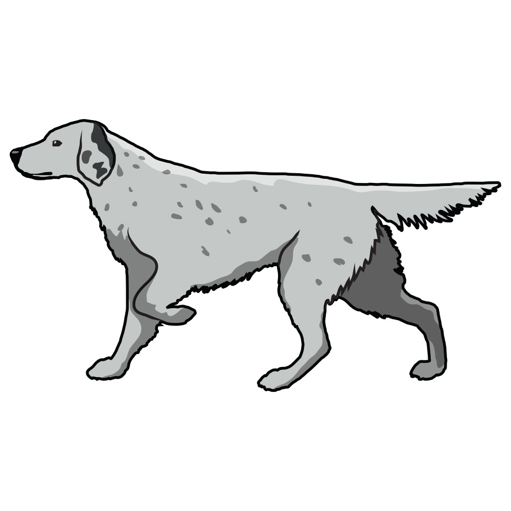 English Setter Dog Decal Dog Lover Decor Vinyl Sticker
