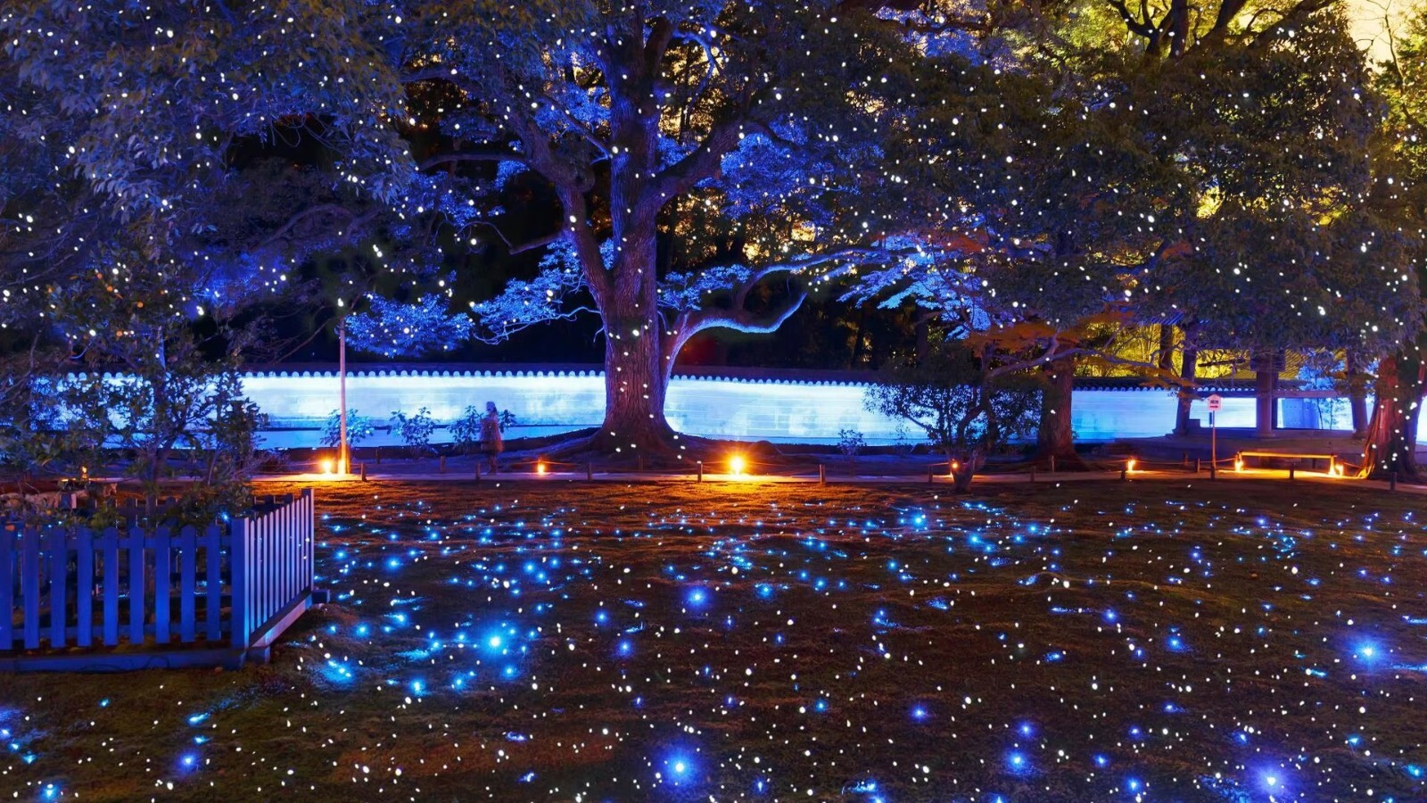 Outdoor White Laser Firefly Lamp Dynamic Projector Lights LED Spotlight 10W-30W