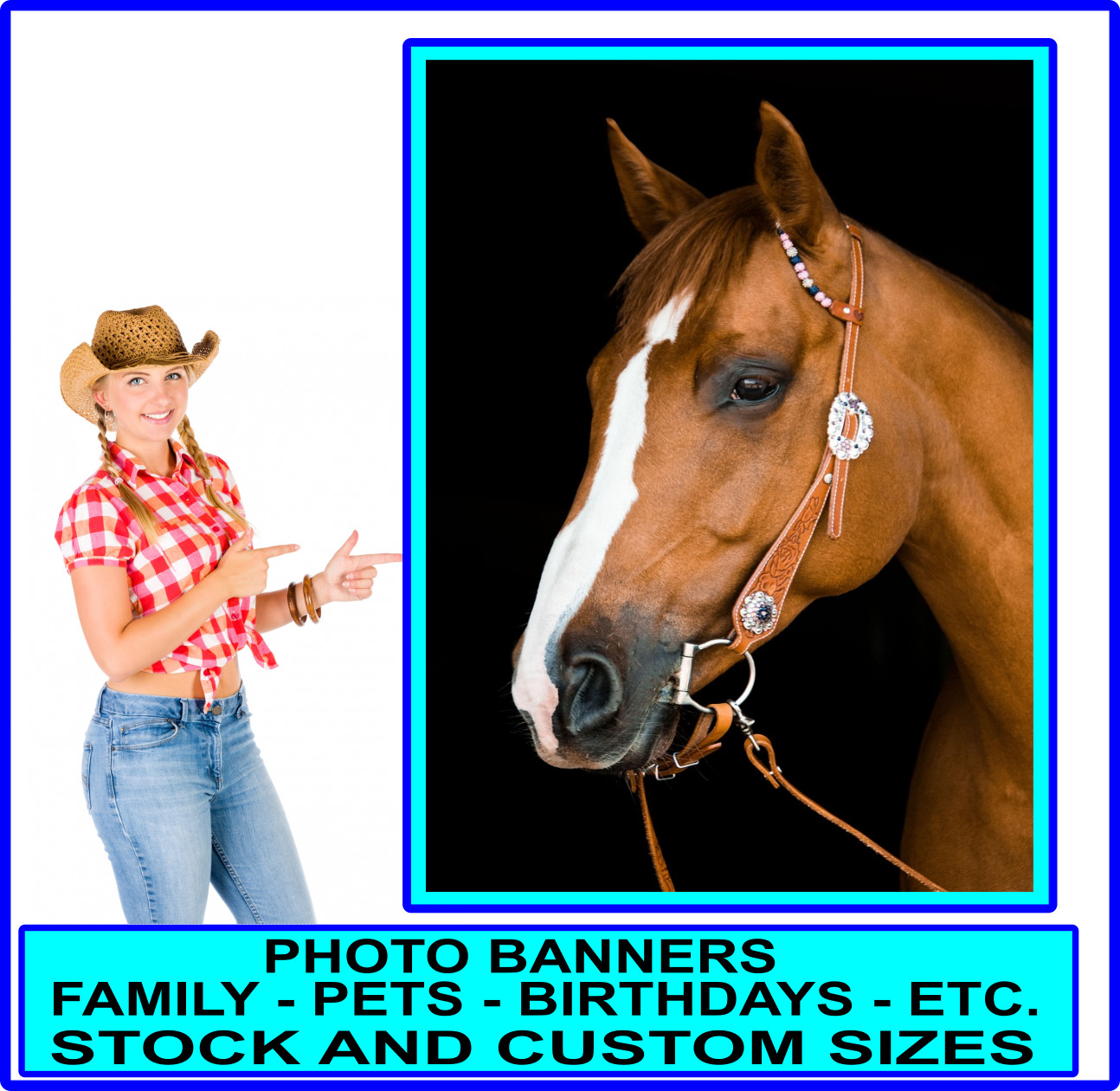 BIG PICTURE BANNERS – Your Favorite Pictures – Many Sizes-USA MADE-FAST DELIVERY