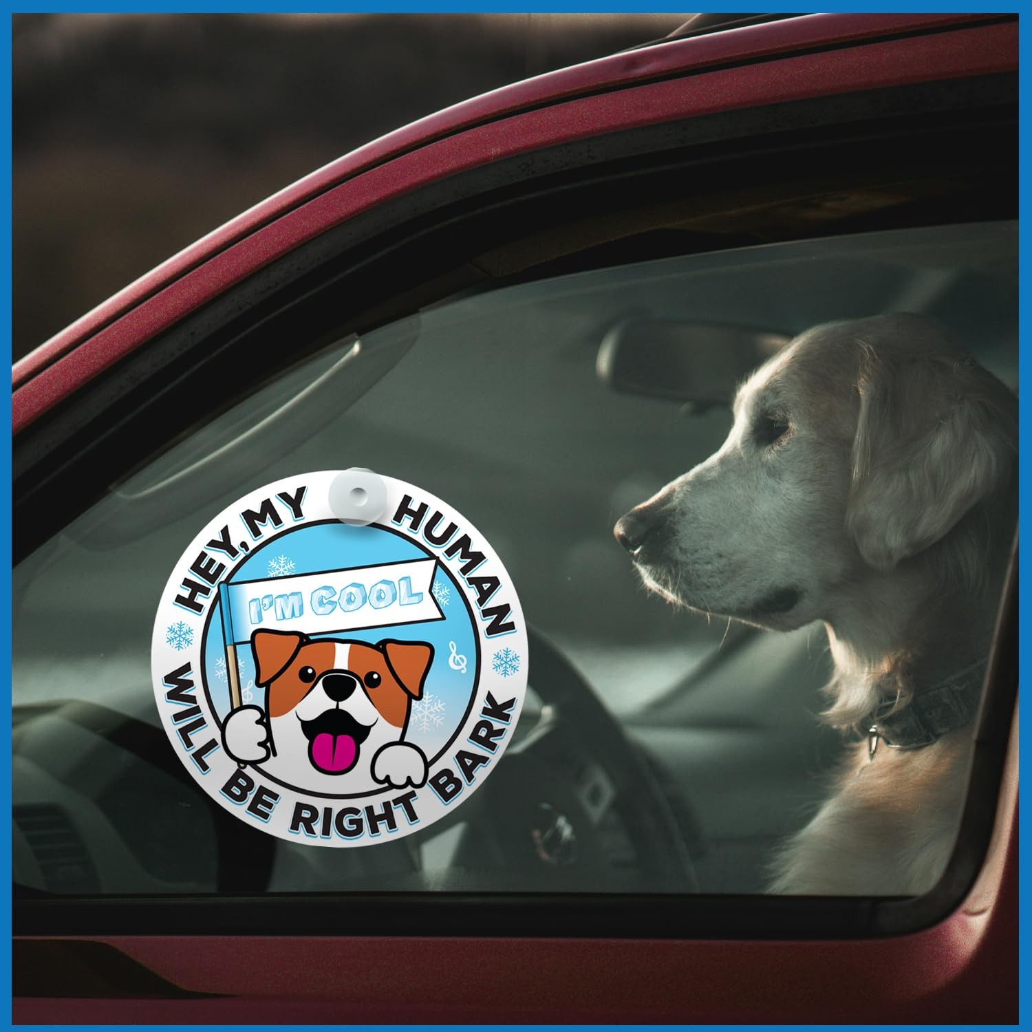 Generic I’M COOL Car Sign Pet Safety Alert Vinyl White/Blue Auto Accessory
