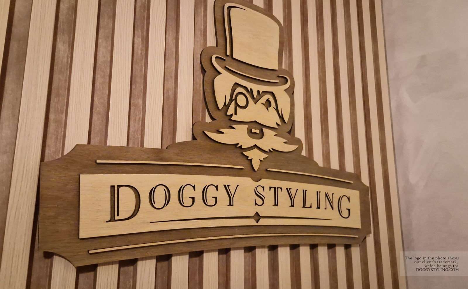 Dimensional Wooden Logo Wall Sign — Layered 3D, Hand Painted, LED Optional