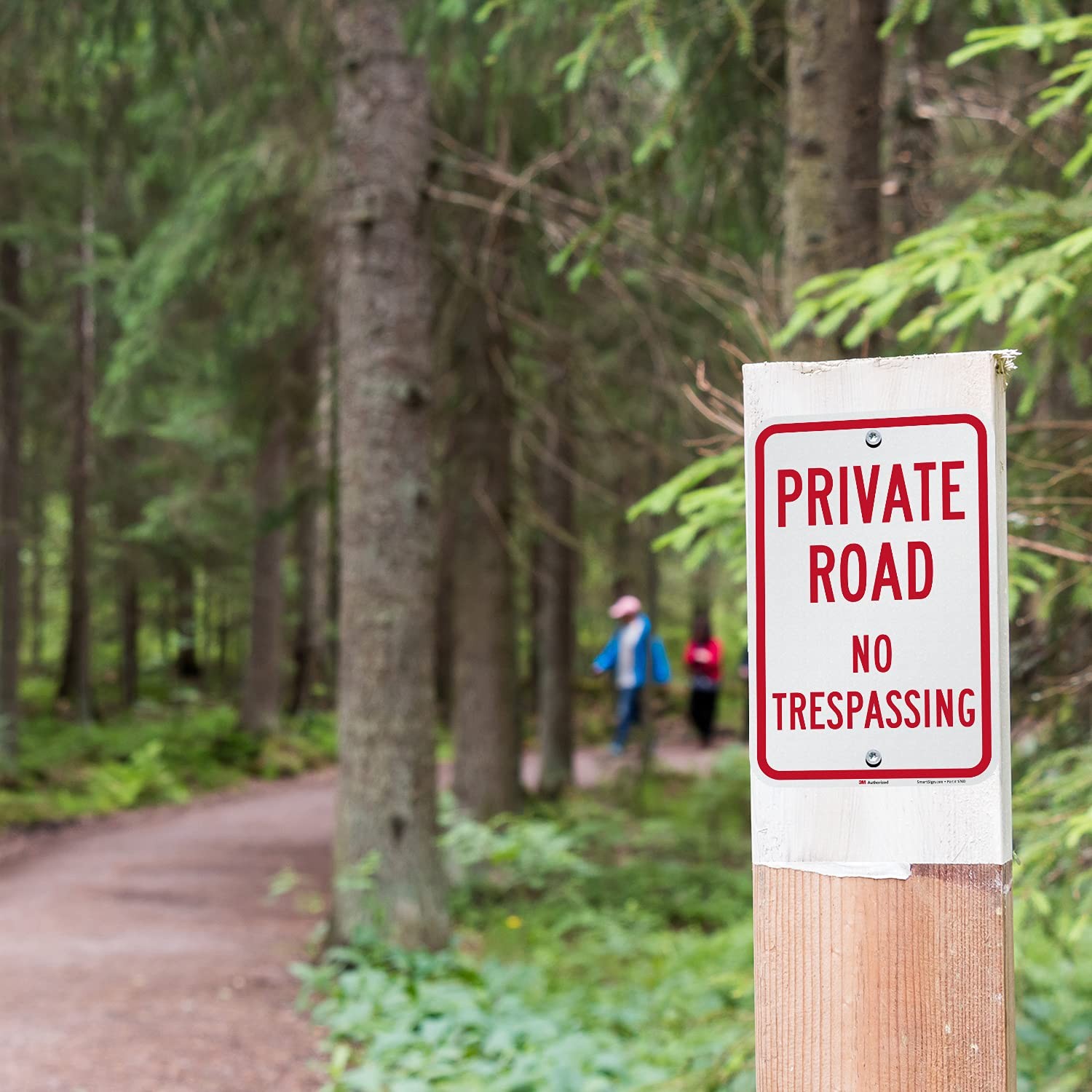 K-5842-EG Private Road Sign, No Trespassing Sign, Private Drive Sign 12x18Inches