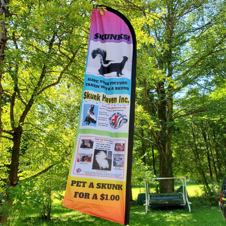 Anley Custom Feather Flag – Print Your Logo/Design Commercial Advertising Banner