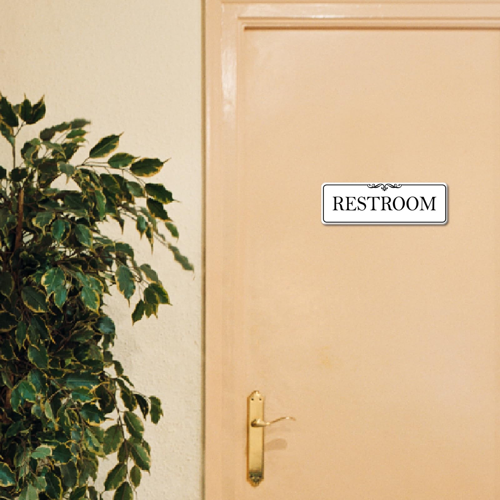 9×3 Inch Elegant White Acrylic SelfStick Restroom Door Wall Signage Decor