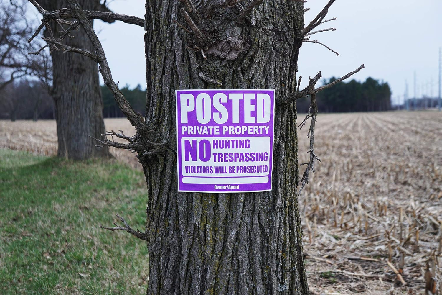25 Pack Posted Private Property Sign 11″x11″ Tyvek No Trespassing Hunting Purple