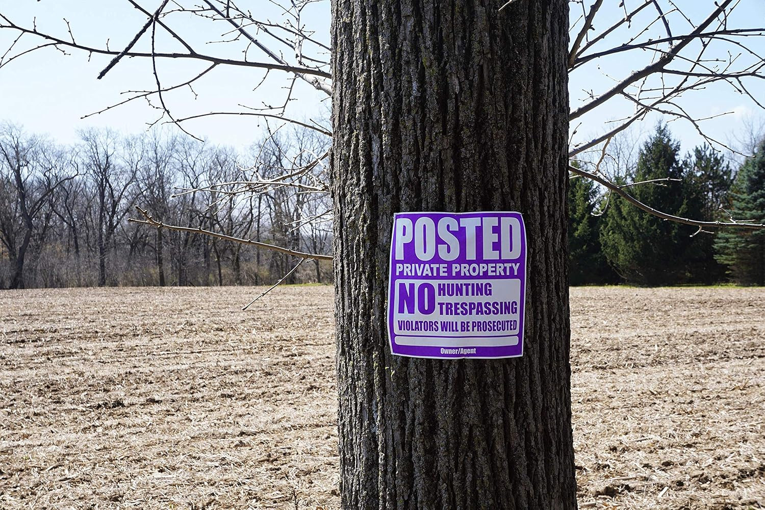 25 Pack Posted Private Property Sign 11″x11″ Tyvek No Trespassing Hunting Purple