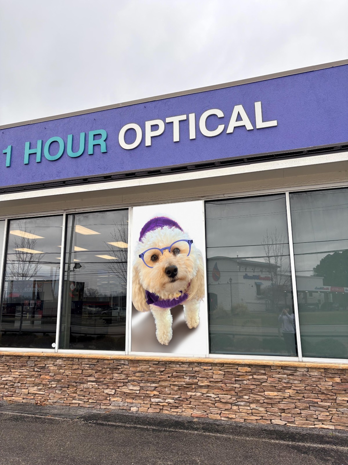 QUOTE: Custom Window Decals for Dog Groomers / Perforated One Way Vision