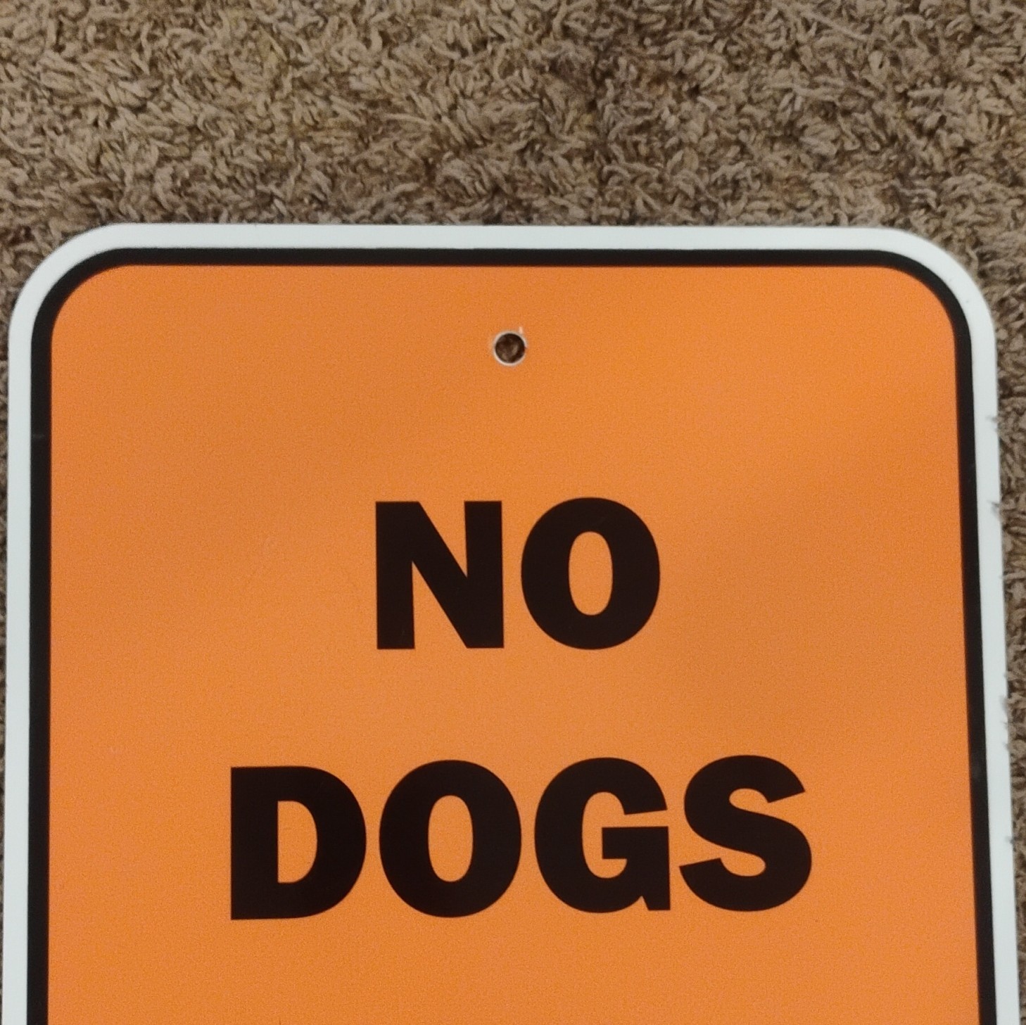 Metal Exterior No Dogs In Trailer Sign Orange Black White Wall Mounted