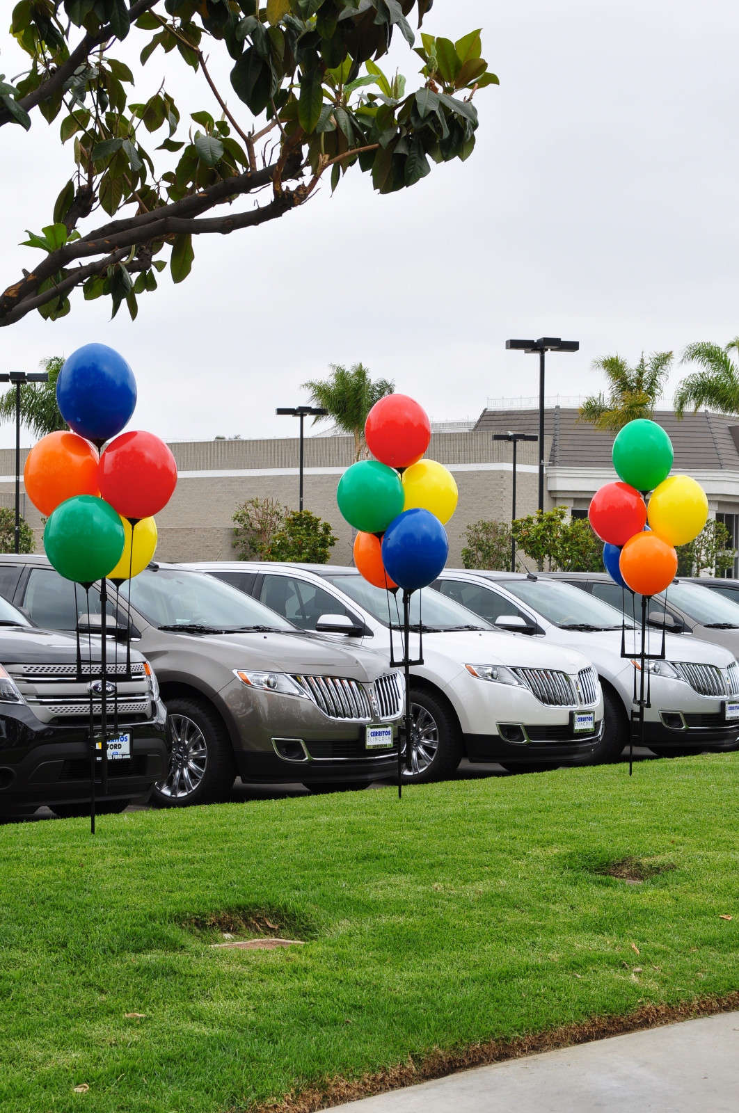 Reusable Balloon Display Kit Poles, Ground Spike and 5 Balloons Included