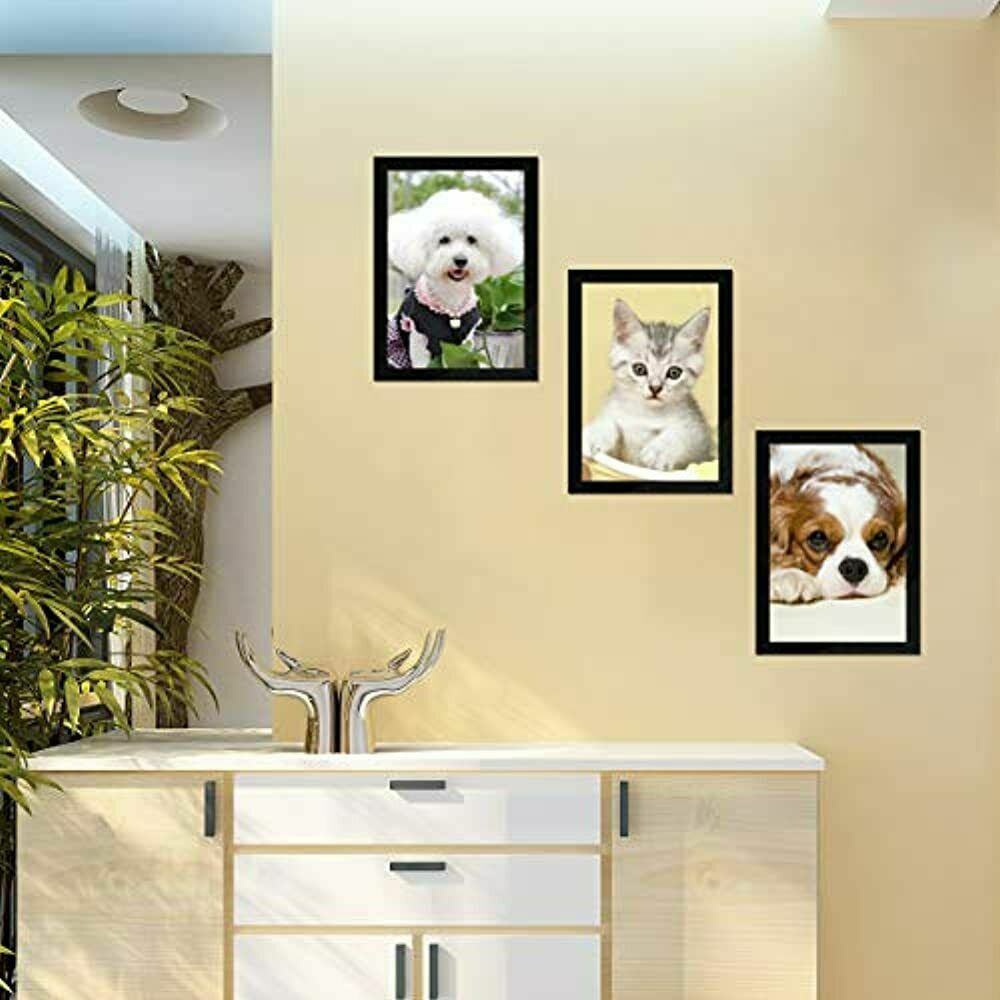 Self-Adhesive Magneti Business and Store Document Sign Holder Picture Frames-6PK
