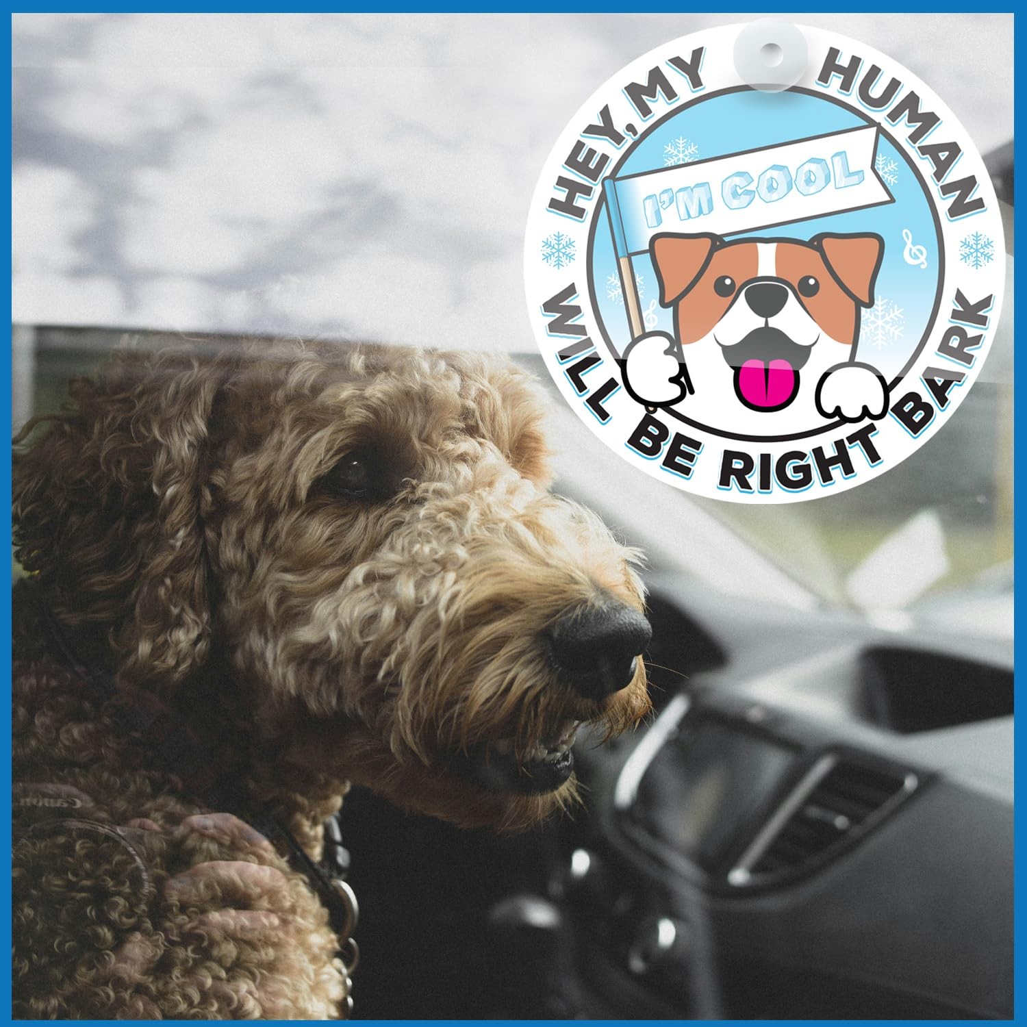 Generic I’M COOL Car Sign Pet Safety Alert Vinyl White/Blue Auto Accessory