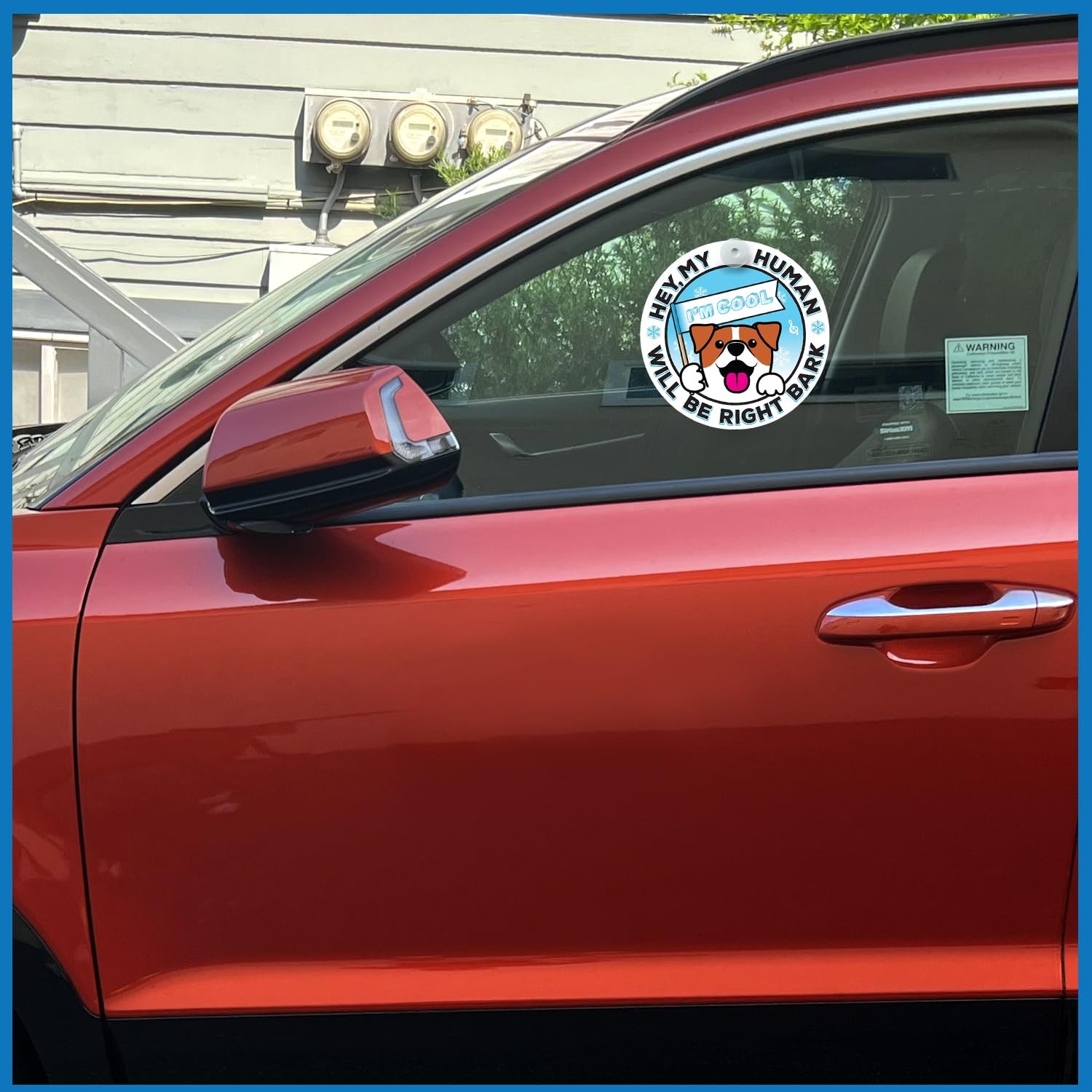 Generic I’M COOL Car Sign Pet Safety Alert Vinyl White/Blue Auto Accessory