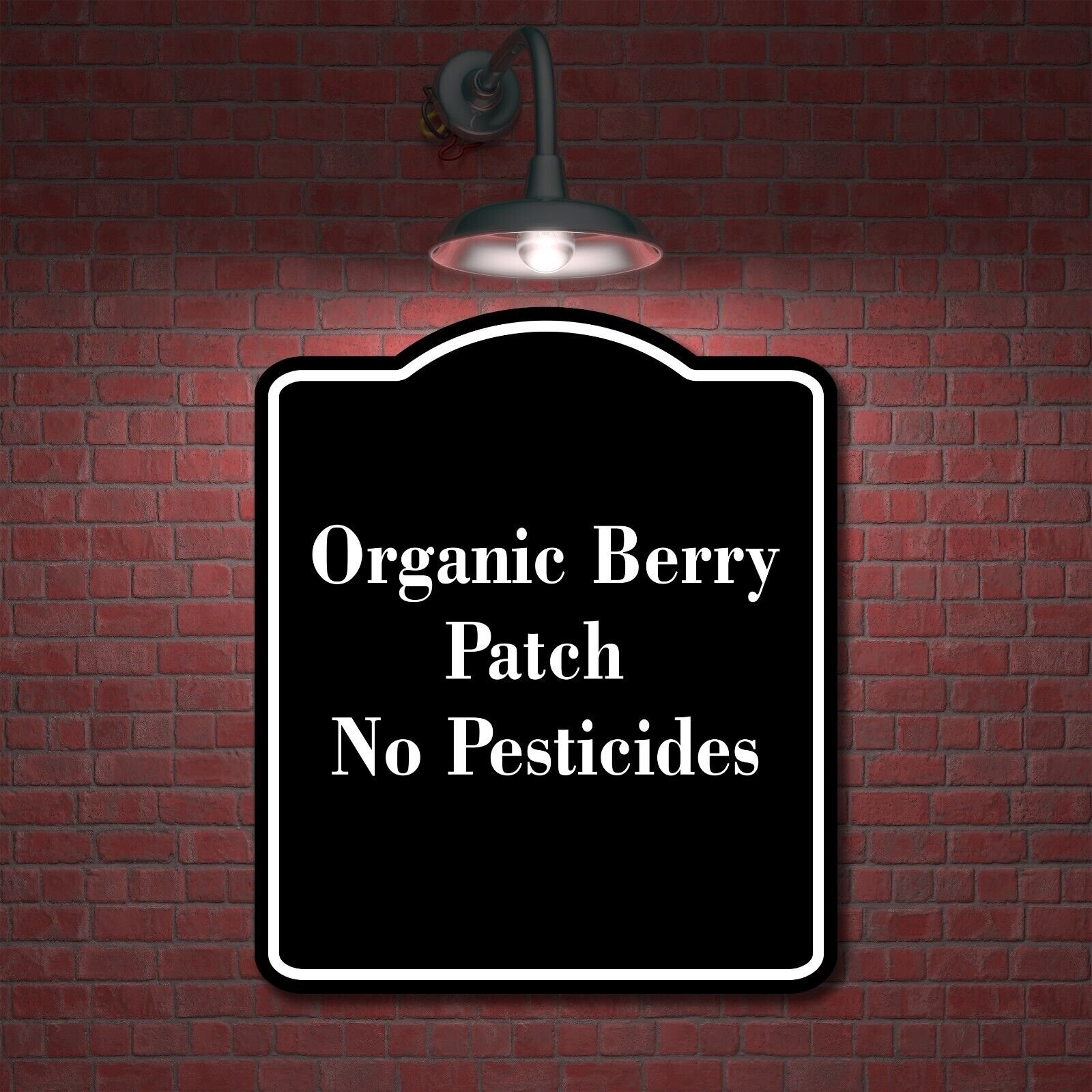 Organic Berry Patch – No Pesticides BLACK Aluminum Composite Sign