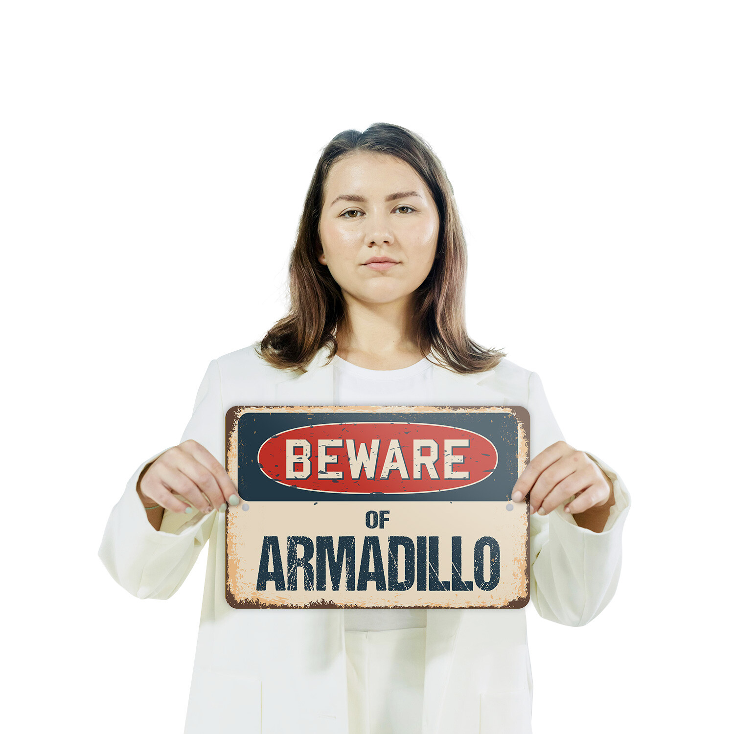 Armadillo (3 Pack) Plastic Street Sign Crossing Warning Vintage Rustic Beware