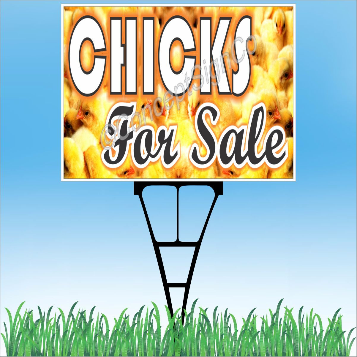 18″x24″ CHICKS FOR SALE Outdoor Yard Sign & Stake Sidewalk Lawn Sales Farm Ranch