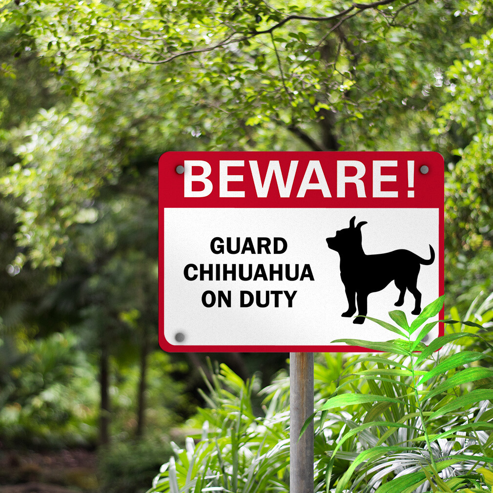 Aluminum Horizontal Metal Sign Beware! Guard Chihuahua on Duty Pet Animal
