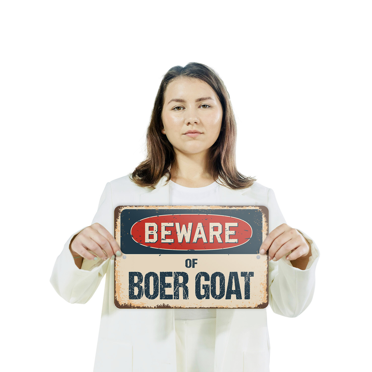 Boer Goat (3 Pack) Plastic Street Sign Crossing Warning Vintage Rustic Beware