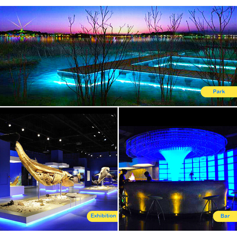 Ice Blue 110V LED Neon Light Strip Lamp For Home Garden Wedding Party DIY Decor