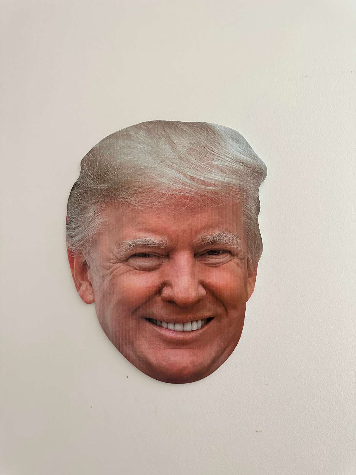 TRUMP HEAD KEEP AMERICA GREAT 15″x11.6″ YARD SIGN WITH STAKE PENCE WHOLESALE USA