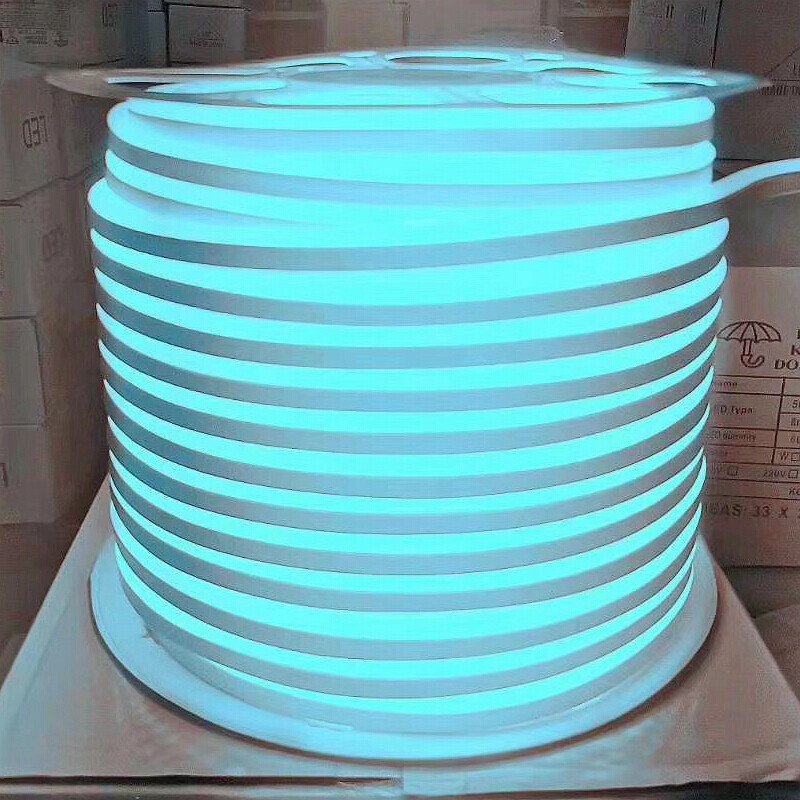 Ice Blue 110V LED Neon Light Strip Lamp For Home Garden Wedding Party DIY Decor