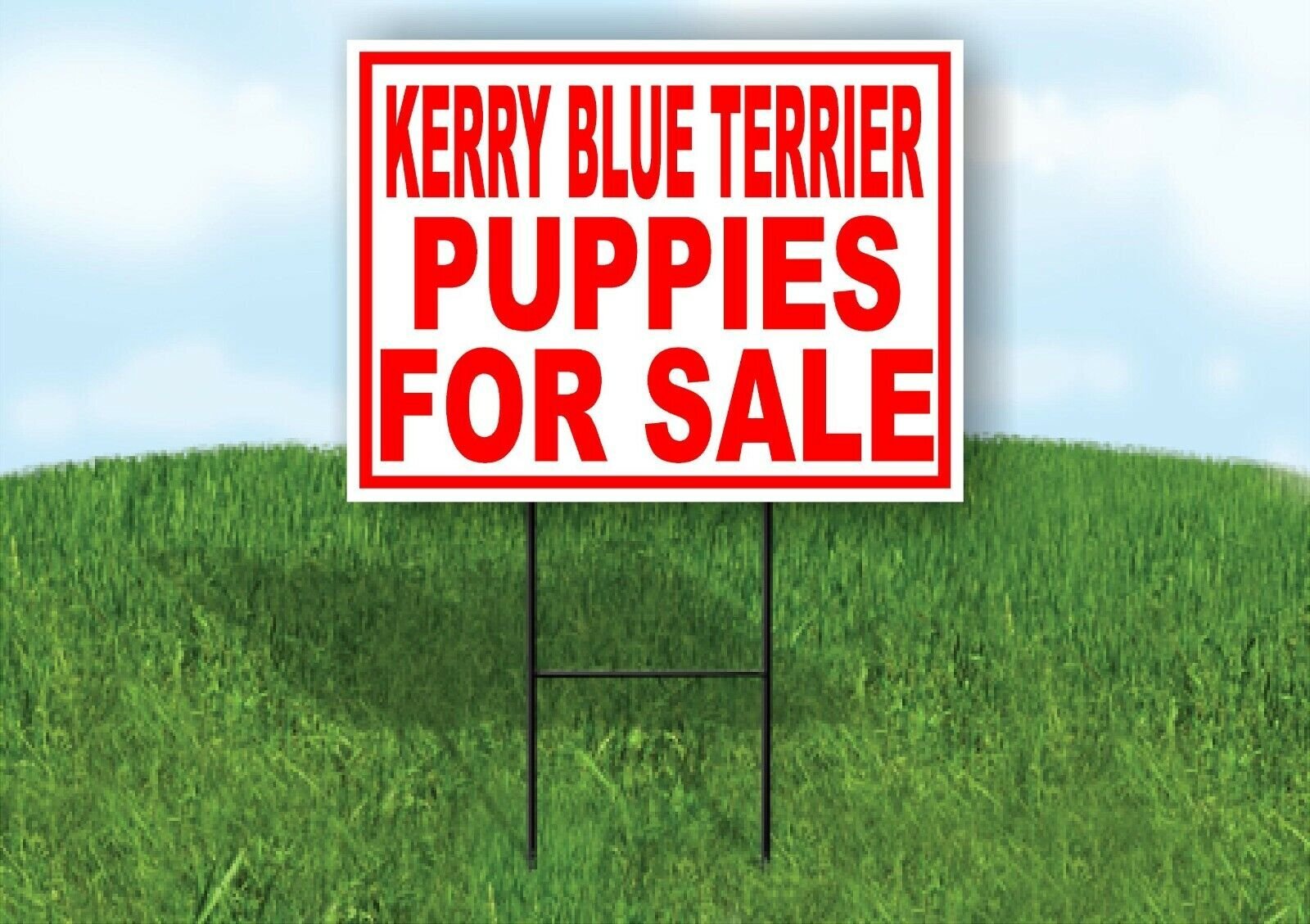 Kerry Blue Terrier PUPPIES FOR SALE RED Yard Sign Road with Stand LAWN SIGN