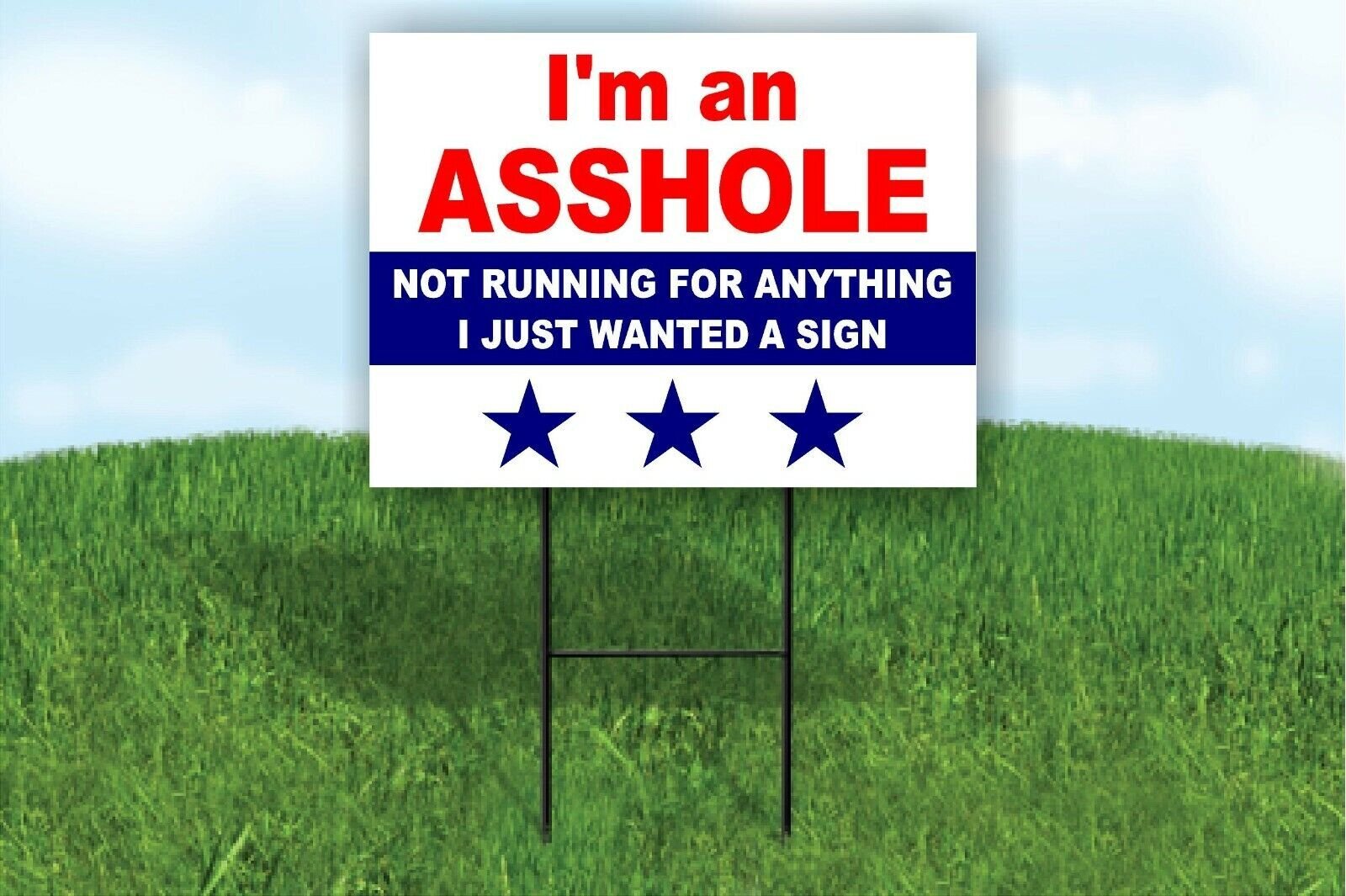 I’M AN A-HOLE NOT RUNNING FOR ANYTHING Yard Sign Road with Stand LAWN SIGN