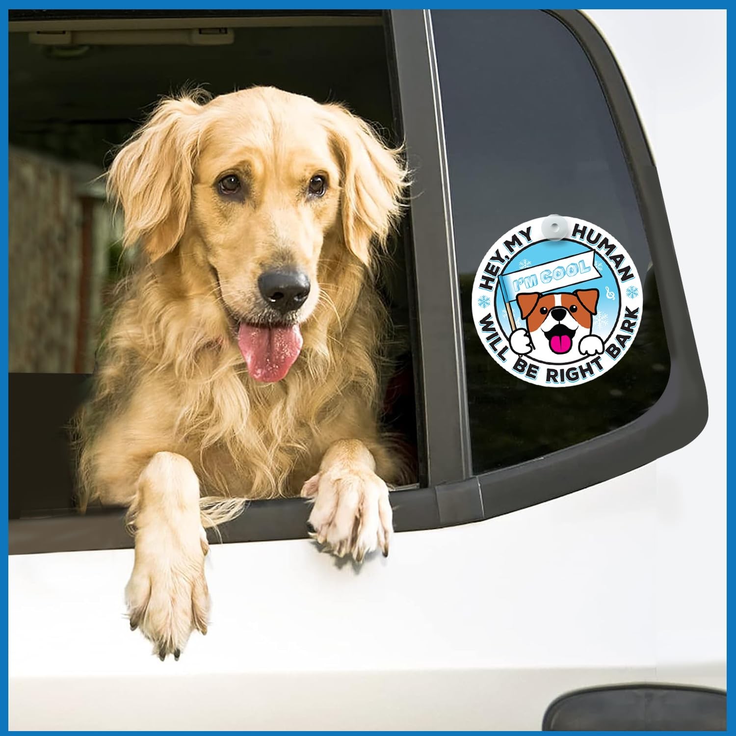 Generic I’M COOL Car Sign Pet Safety Alert Vinyl White/Blue Auto Accessory