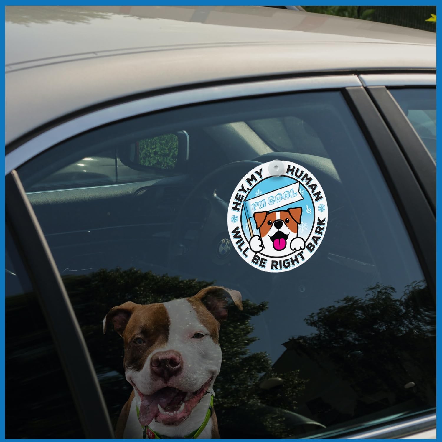 Generic I’M COOL Car Sign Pet Safety Alert Vinyl White/Blue Auto Accessory