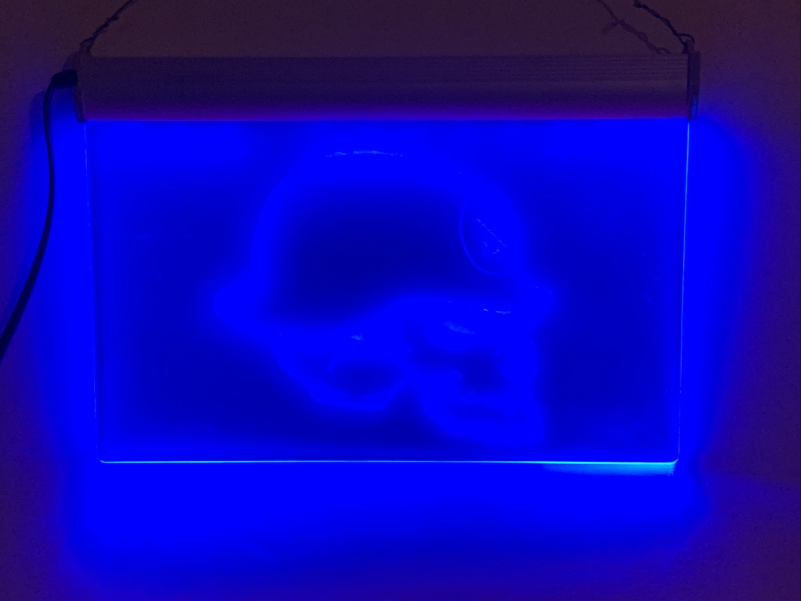 Metal Mulisha LED Light Up Sign Lamp Acrylic Blue Color Electric