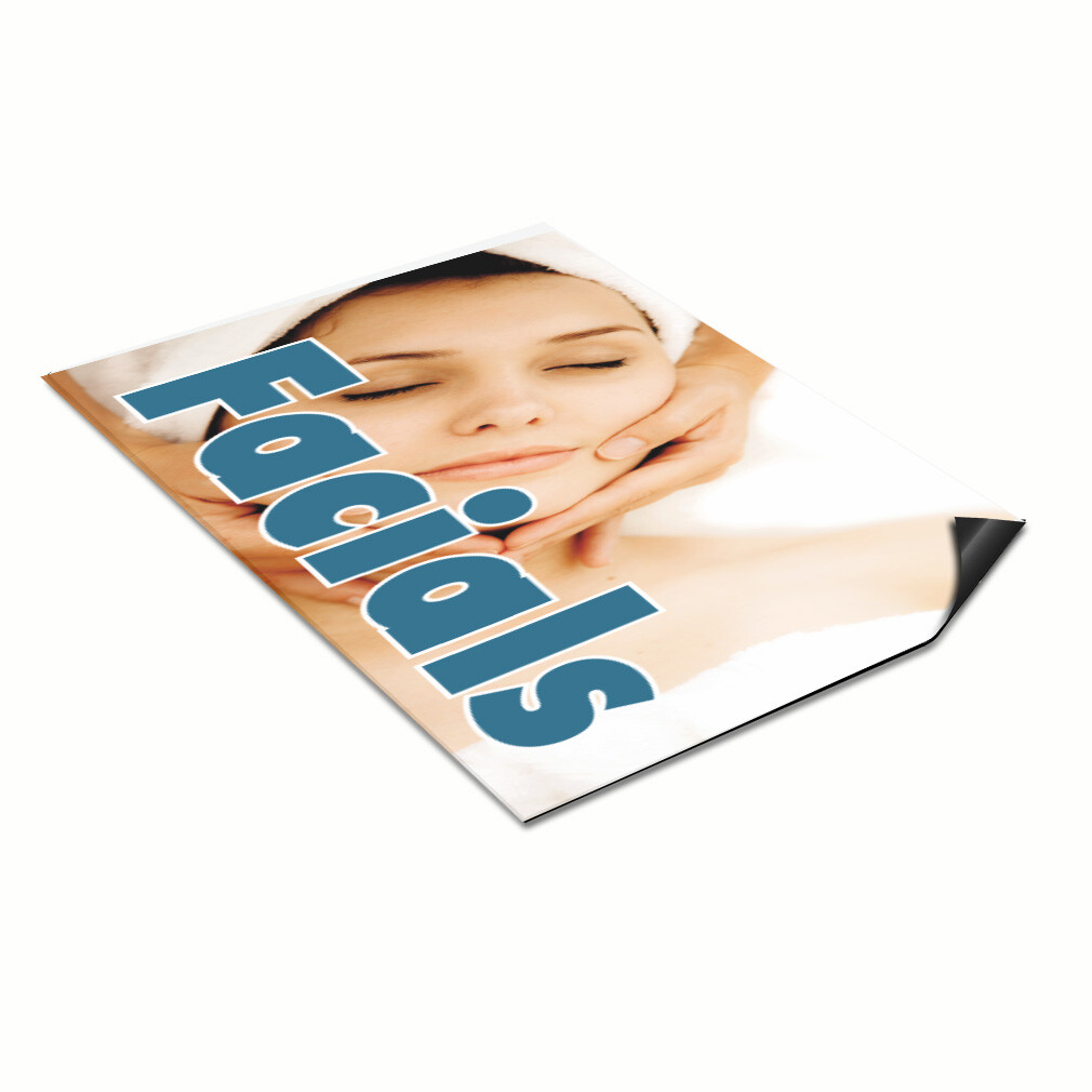Car Magnet Set of 2 Facials Business B Car Advertising Industrial Sign