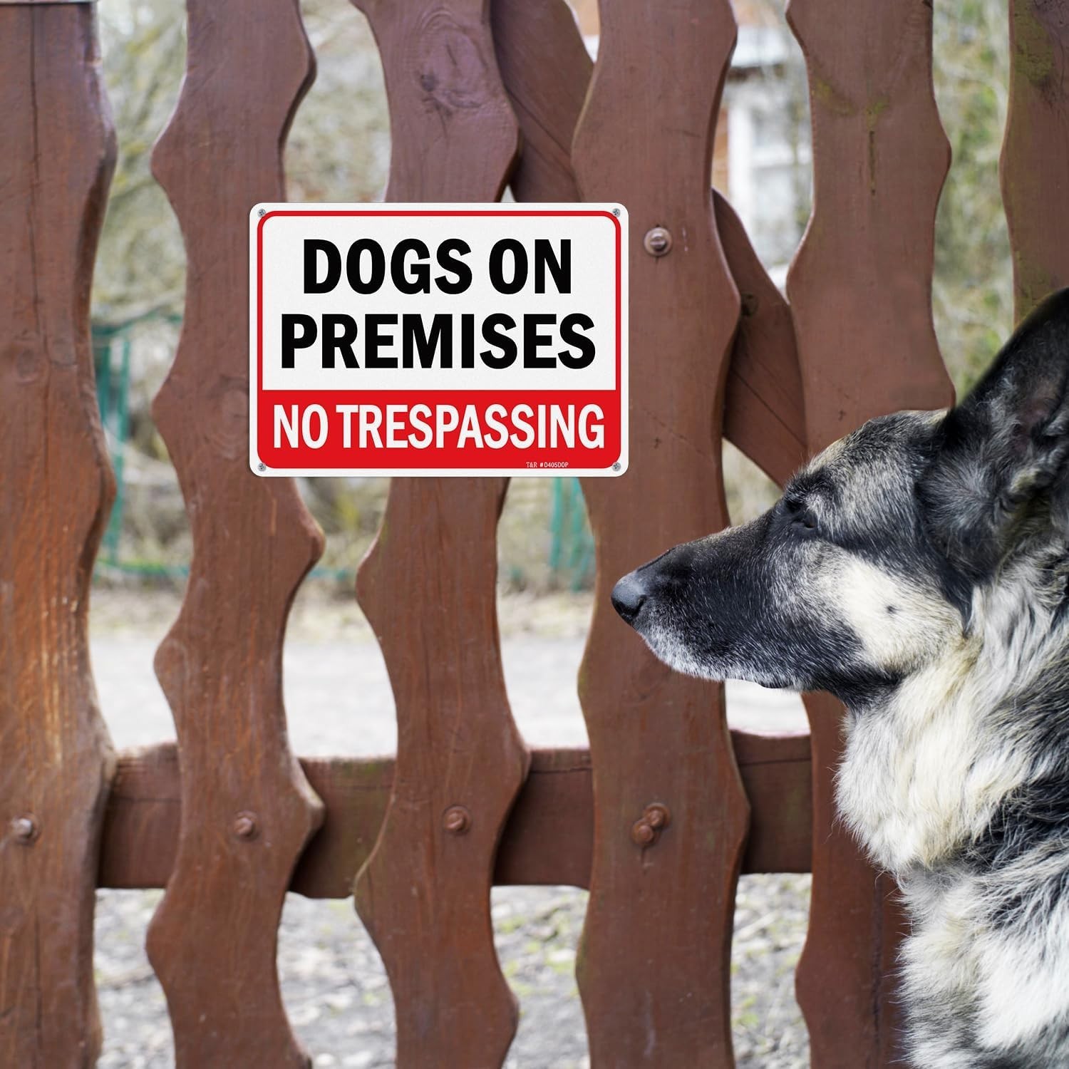 2 Pack Dogs On Premises Sign, No Trespassing Sign, 10 x 7 Inches .040 Aluminum R
