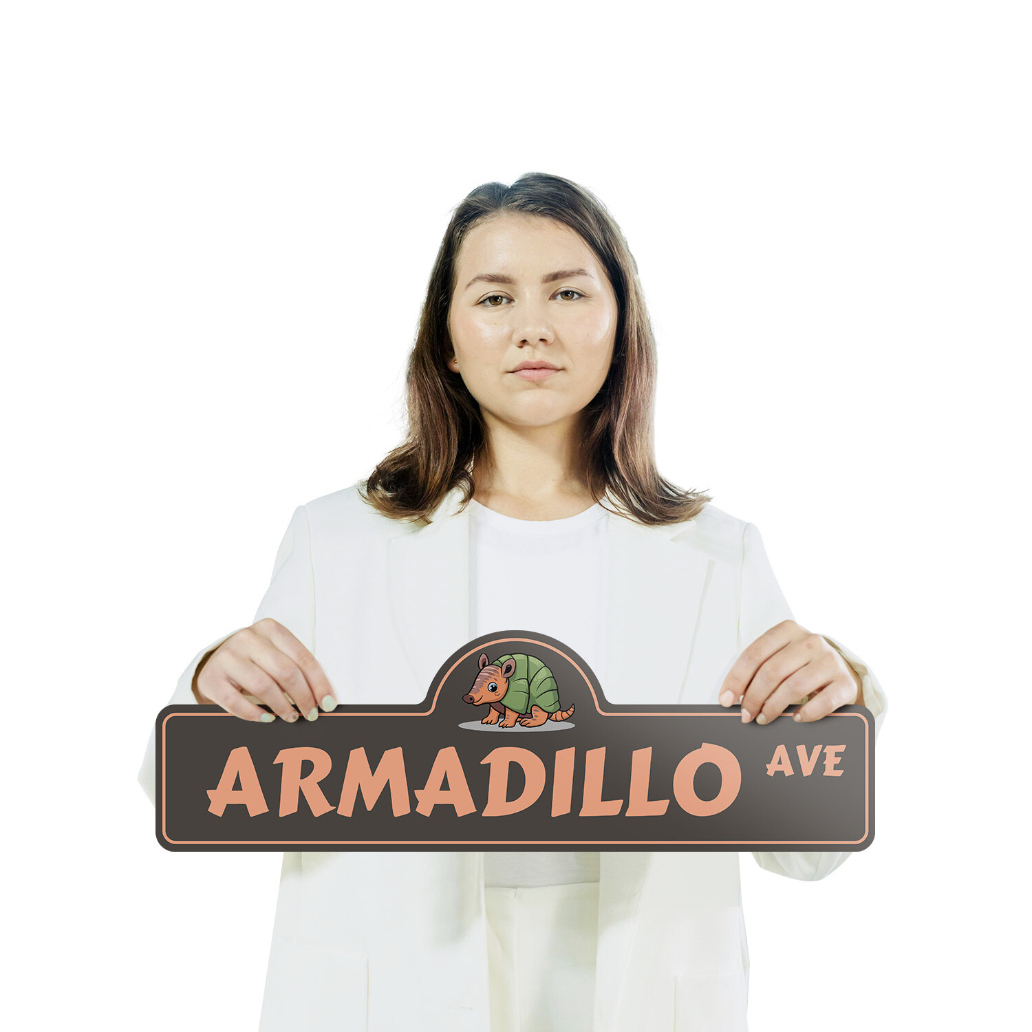 Armadillo (3 Pack) Plastic Street Sign Crossing Warning Vintage Rustic Beware