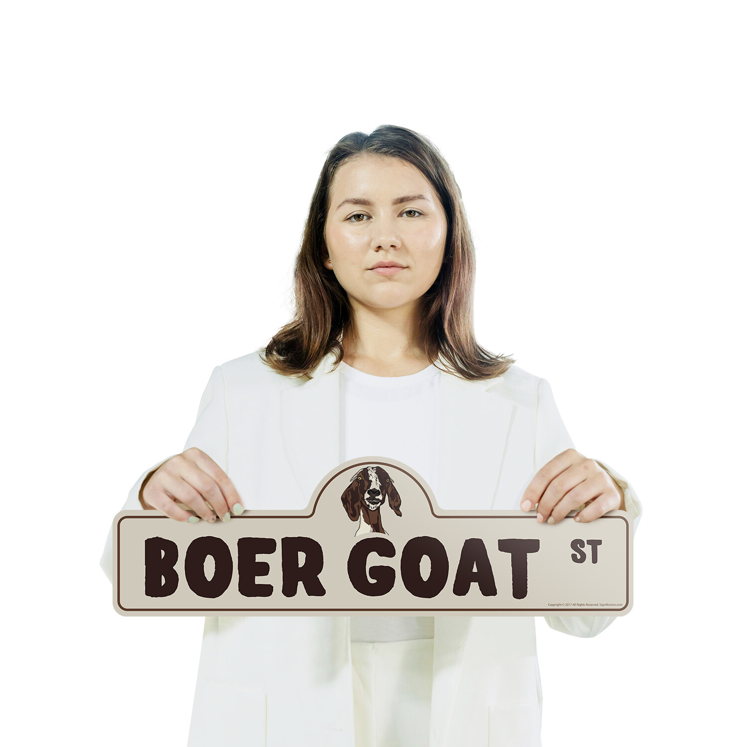 Boer Goat (3 Pack) Plastic Street Sign Crossing Warning Vintage Rustic Beware