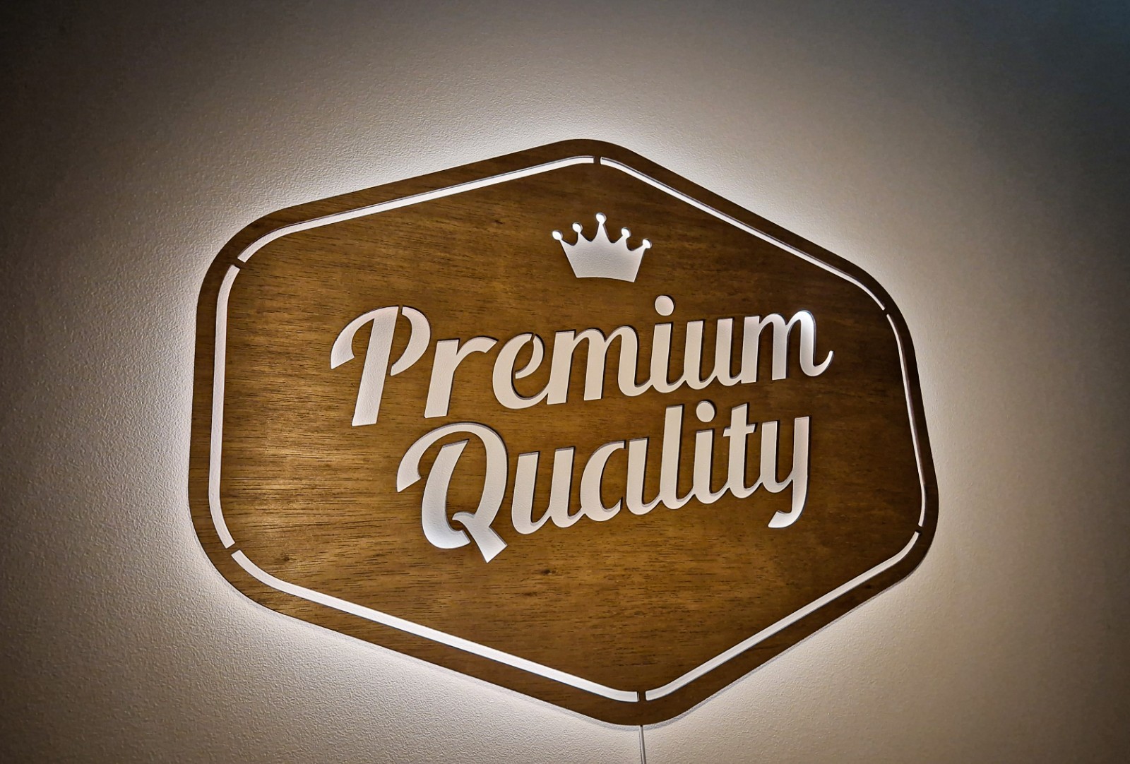 Your business wall wooden logo | Custom company 3D Laser-cut & hand painted logo