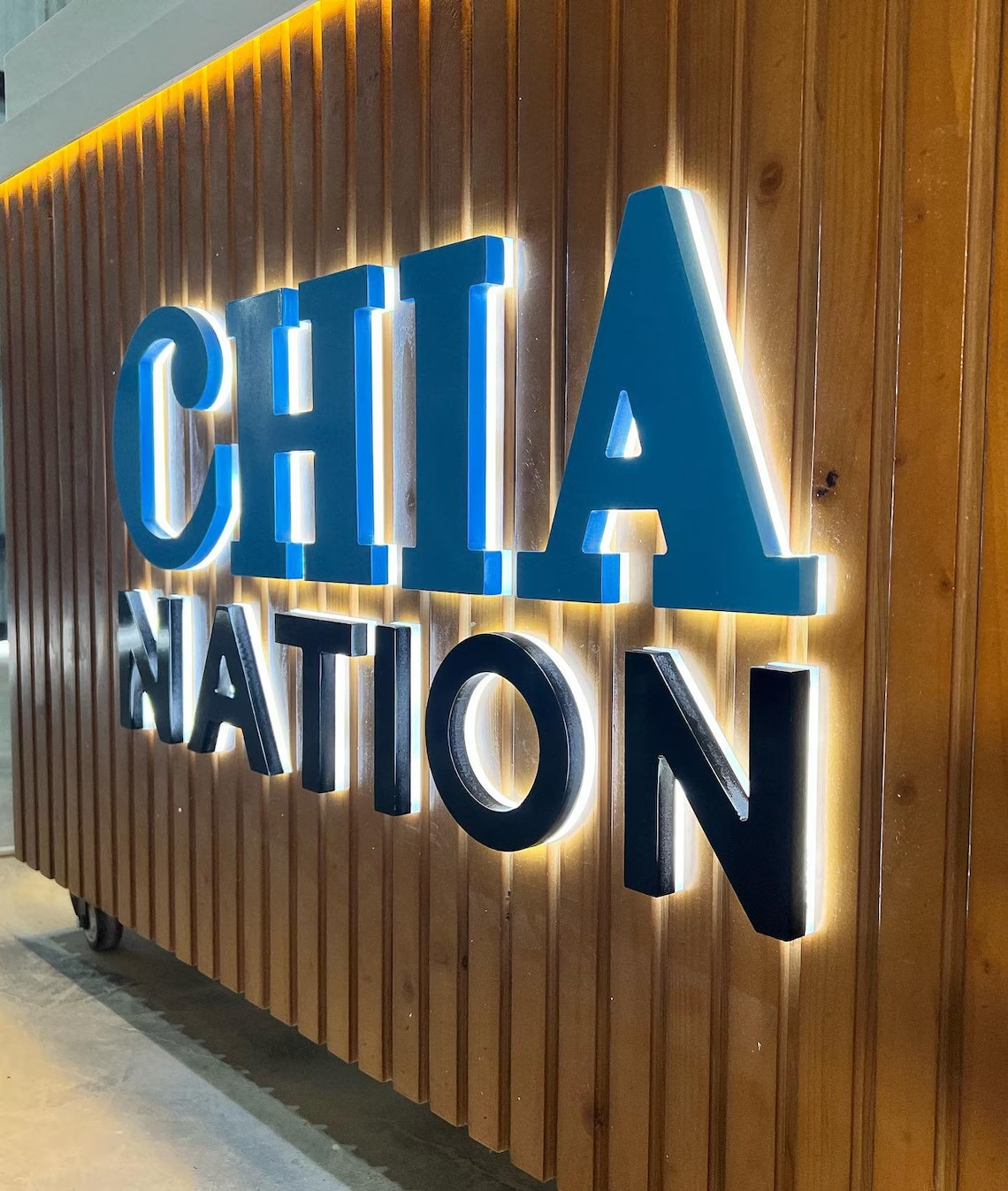 Metal 3D Back lit LED Storefront Business Logo Back light Custom 3D Letter Signs