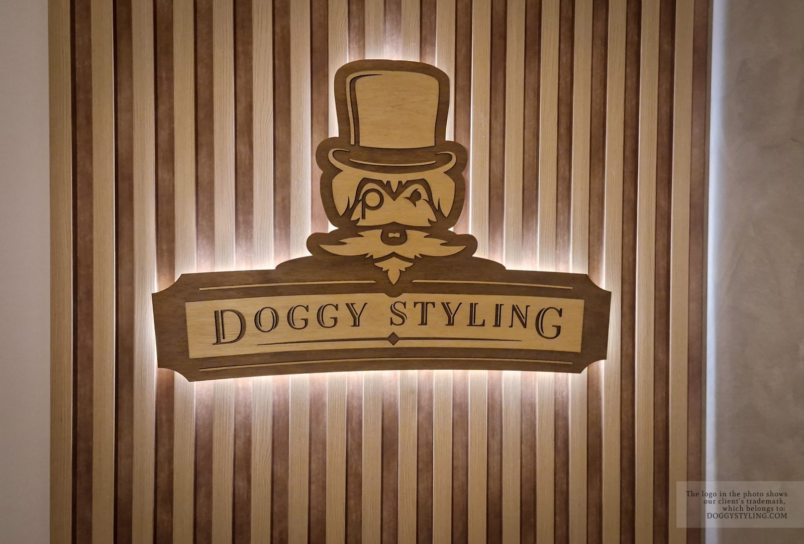 Dimensional Wooden Logo Wall Sign — Layered 3D, Hand Painted, LED Optional