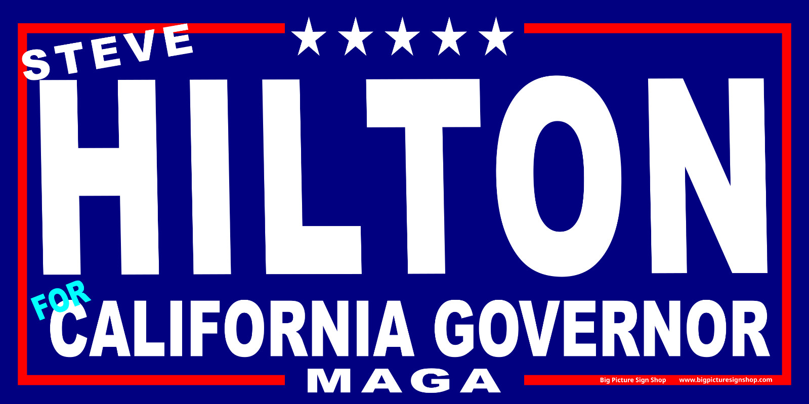 STEVE HILTON CALIFORNIA GOVERNOR – MAGNETIC CAR SIGNS-FREE SHIP-USA MADE dk blu
